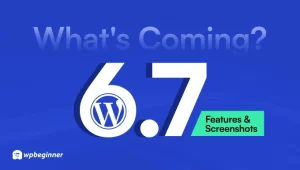 Що нового чекати в WordPress 6.7